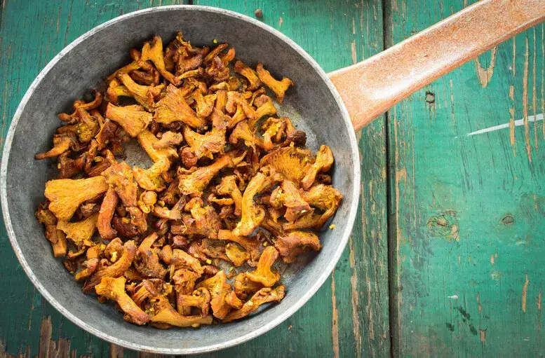 Jak przygotować kurki do mrożenia, by zachować ich smak i jakość