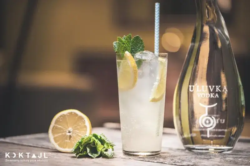 Najlepsze drinki z tonikiem i wódką, które musisz spróbować