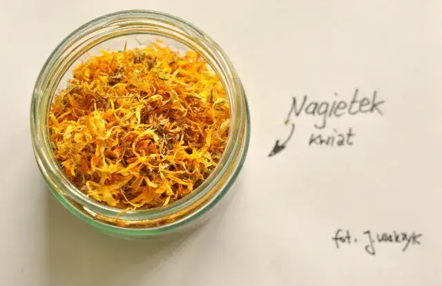 Jak zrobić herbatę z nagietka przepis na domowy napój leczniczy - krok po kroku