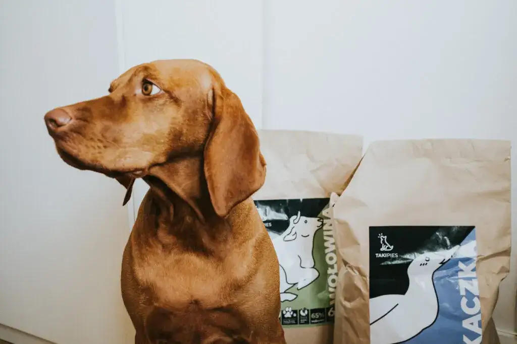 Karma TAKIPIES - wszystko o naturalnym odżywianiu twojego psa bez zbóż