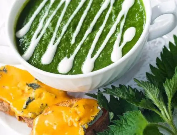 Jak wlać śmietanę do zupy bez zważenia? 5 skutecznych metod