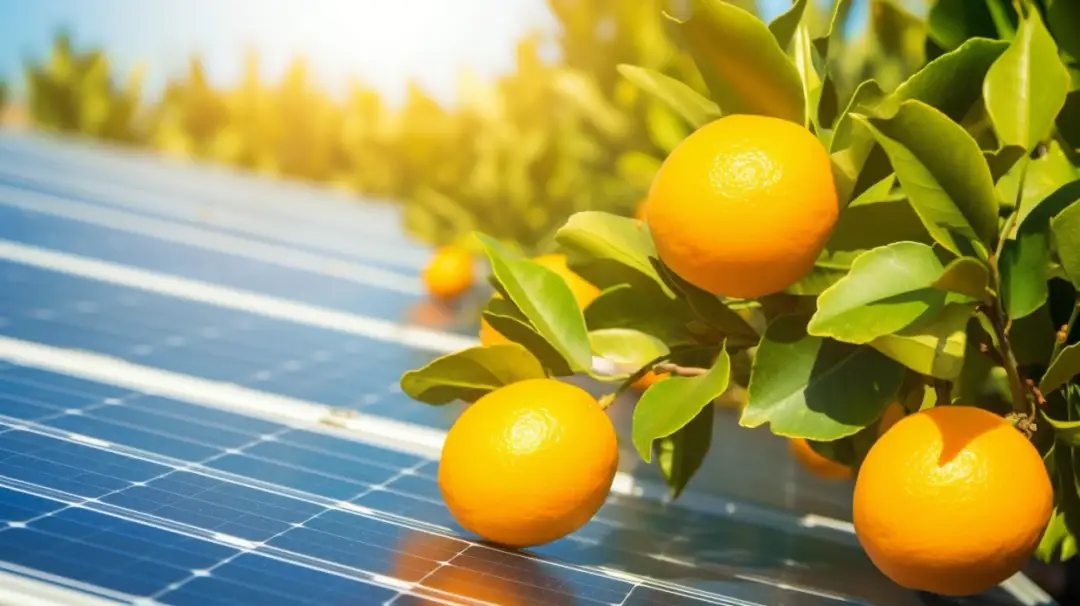 Godzinowe rozliczanie: Konsekwencje ujemnych cen energii dla prosumentów