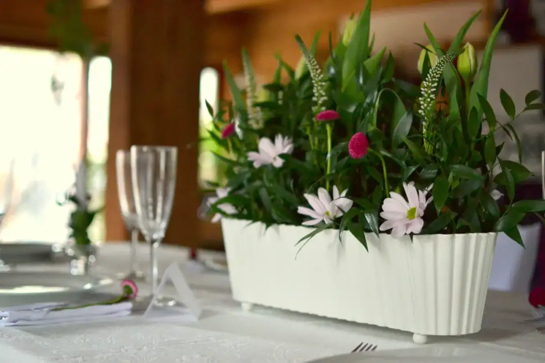 Jakie kwiaty na chrzest na stół? Eleganckie i wyjątkowe propozycje