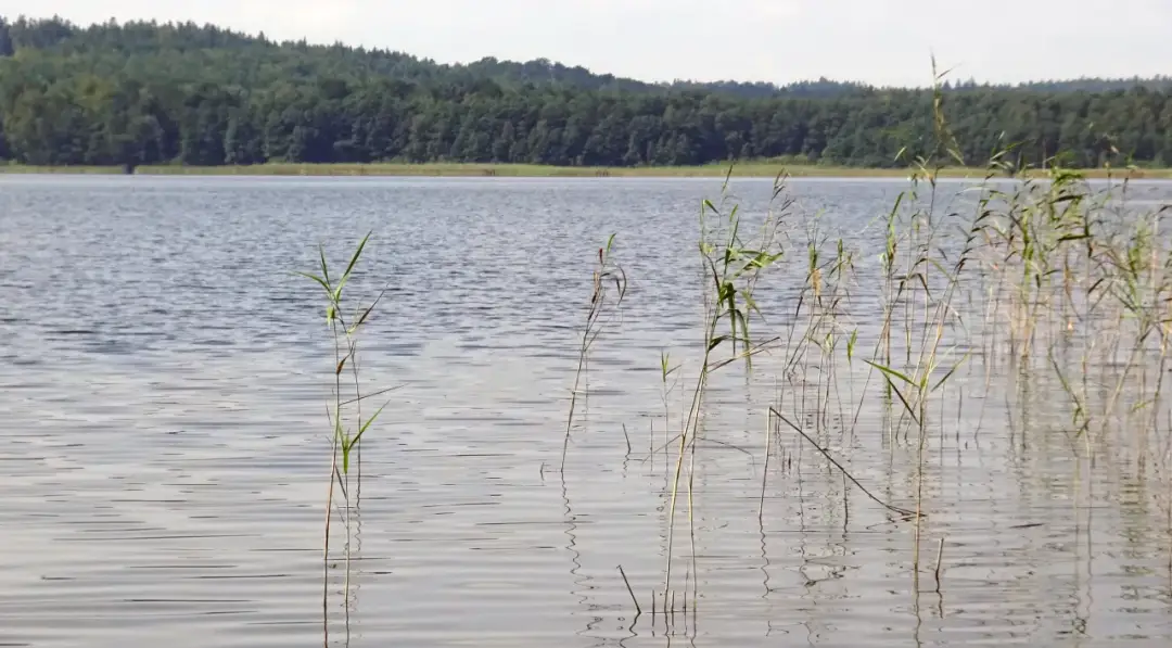 Jezioro Choczewskie - raj dla turystów i wędkarzy na Pomorzu