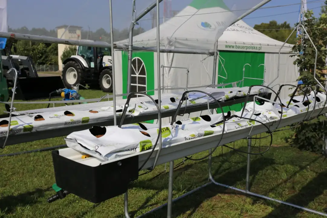 Najlepsze rusztowania do malin od Agronom – klucz do zdrowych plonów