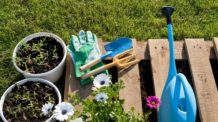 Jak przygotować ogród na wiosnę - praktyczne wskazówki, które pomogą
