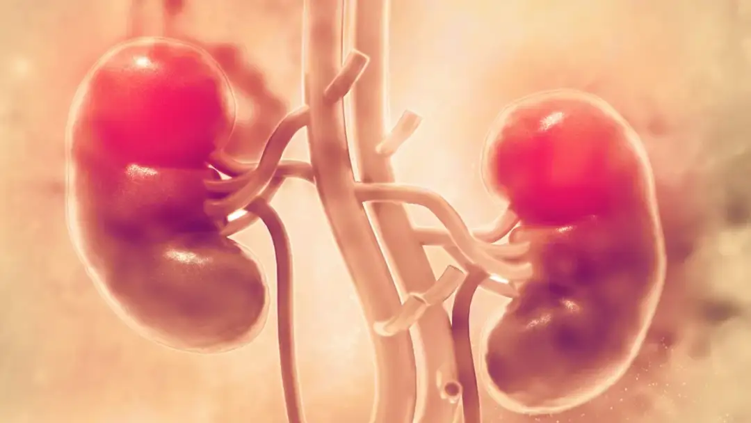 Jaki lekarz zajmuje się nerkami i kiedy warto go odwiedzić?