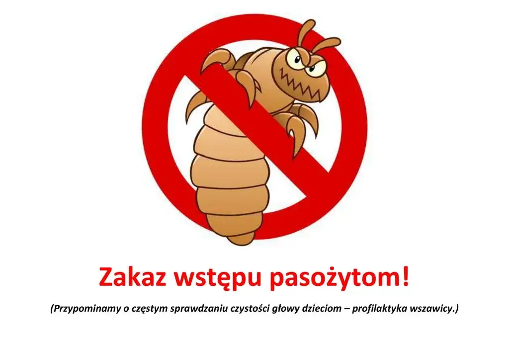 Wszy w przedszkolu? Kiedy posłać dziecko i uniknąć przykrych niespodzianek