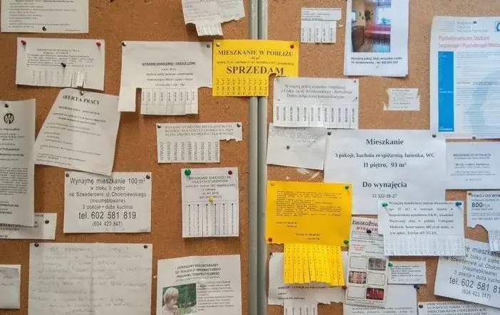 Jak napisać świetne ogłoszenie o wynajem mieszkania bez wpadek i strat