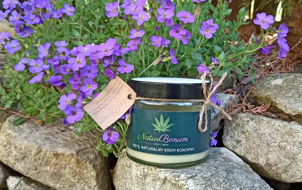 Gdzie kupić konopny krem? Sprawdzone sklepy i ich oferty.