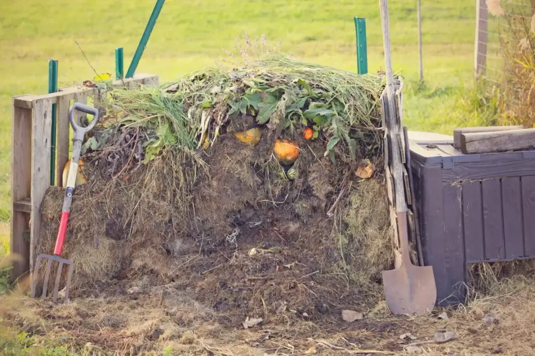 Jak prawidłowo wygląda kompost i po czym poznać jego dojrzałość