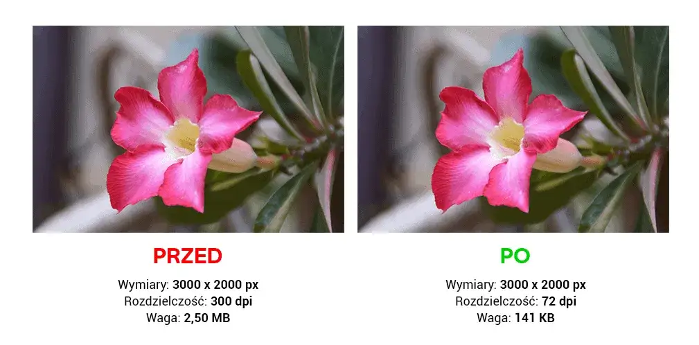 Poznaj czym jest kompresja i jak wykorzystać ją do przyspieszenia swoich plików