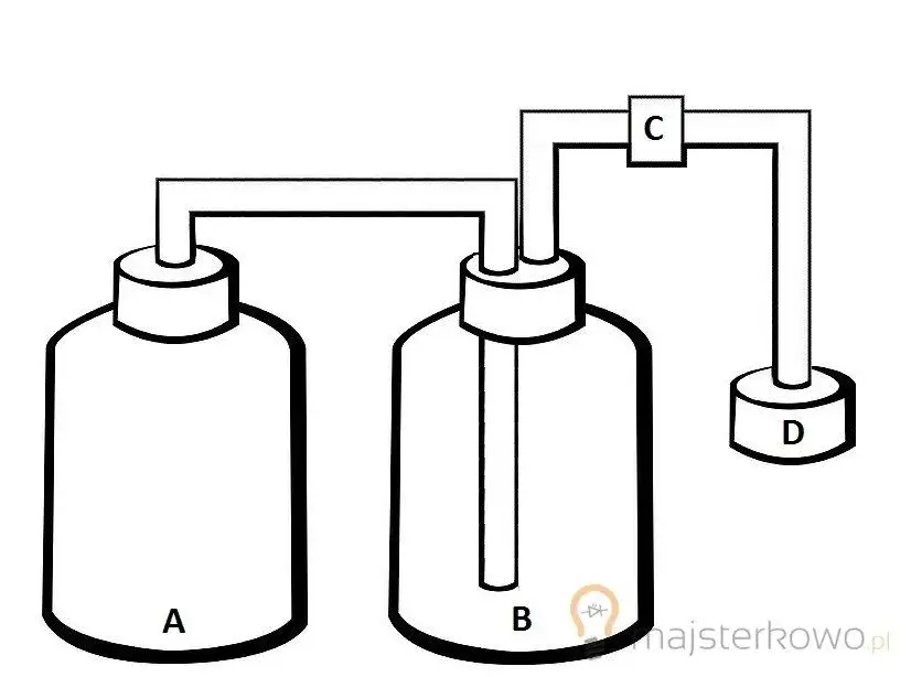 Jak zrobić bimbrownie do akwarium i poprawić wzrost roślin