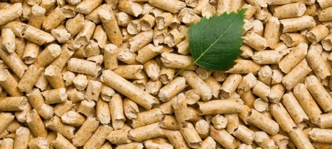 Jak produkować pellet: Kluczowe materiały i maszyny do sukcesu