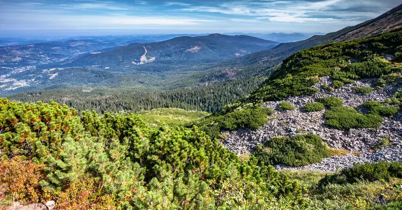 Gdzie jod w górach? Odkryj jego źródła i wpływ na zdrowie