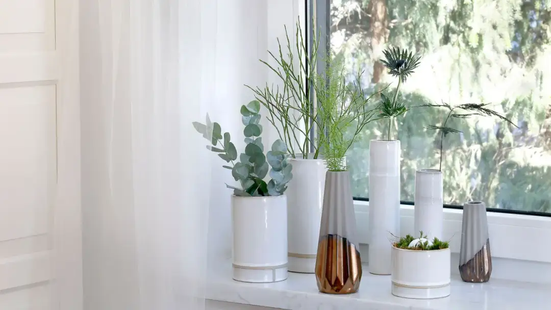 Dlaczego warto wybrać coś zamiast kwiatów na parapet - inspiracje i pomysły