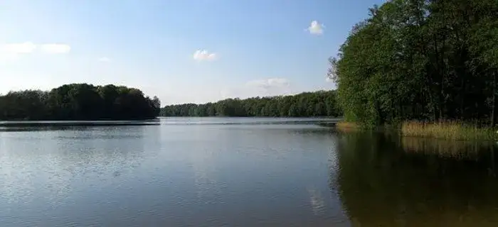 Jezioro Jankowskie - malowniczy raj dla miłośników wypoczynku na plaży