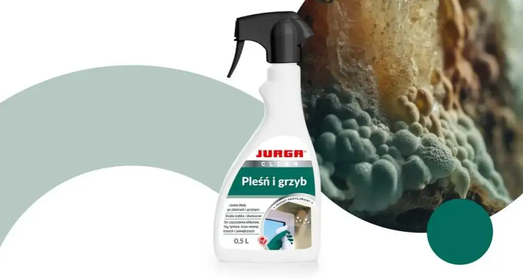 Skuteczne usuwanie grzyba z łazienki: 5 sprawdzonych metod