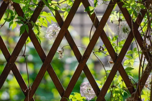 Jak zrobić kratkę ogrodową na róże lub inne pnącza?