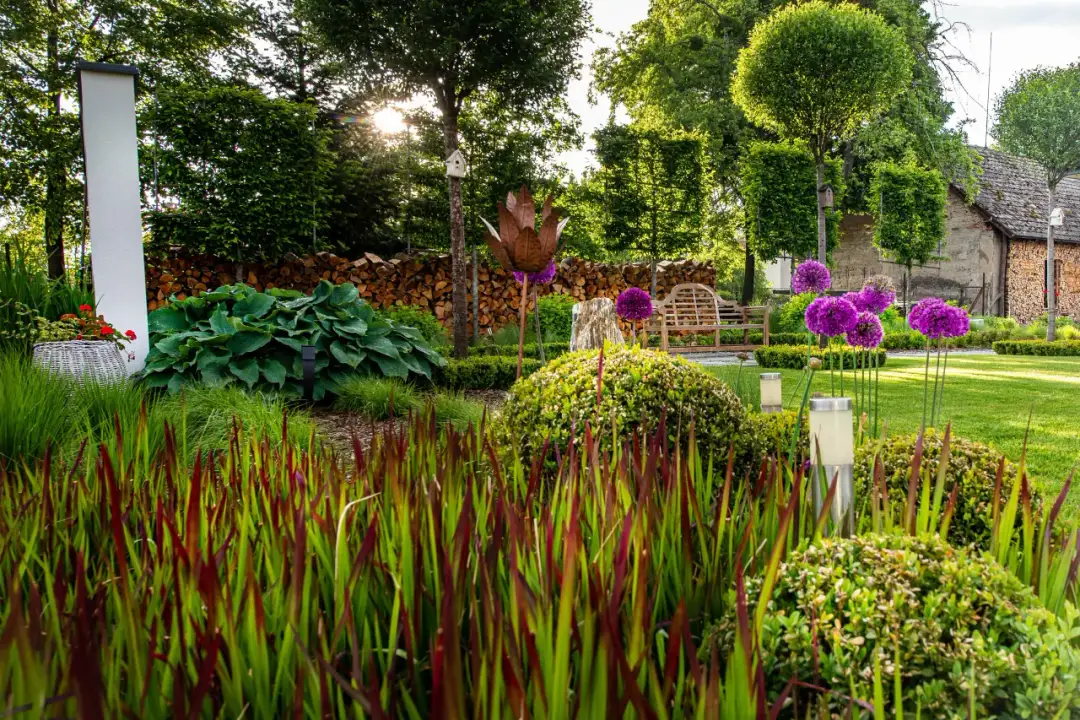 Jak sadzić trawy ozdobne w ogrodzie, aby uniknąć najczęstszych błędów