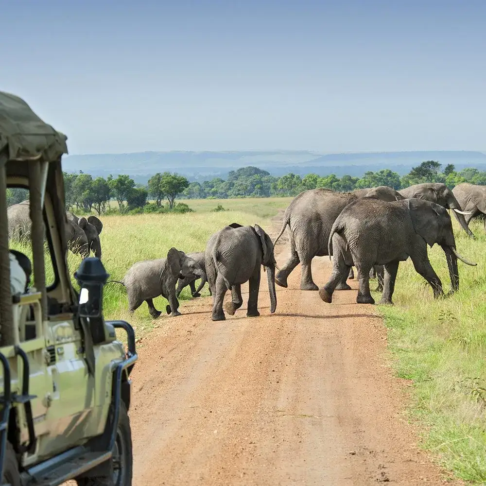 Gdzie polecieć w czerwcu egzotyka? Odkryj najlepsze kierunki podróży