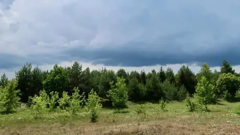 Ostrów Mazowiecka atrakcje - odkryj ukryte skarby i piękne miejsca