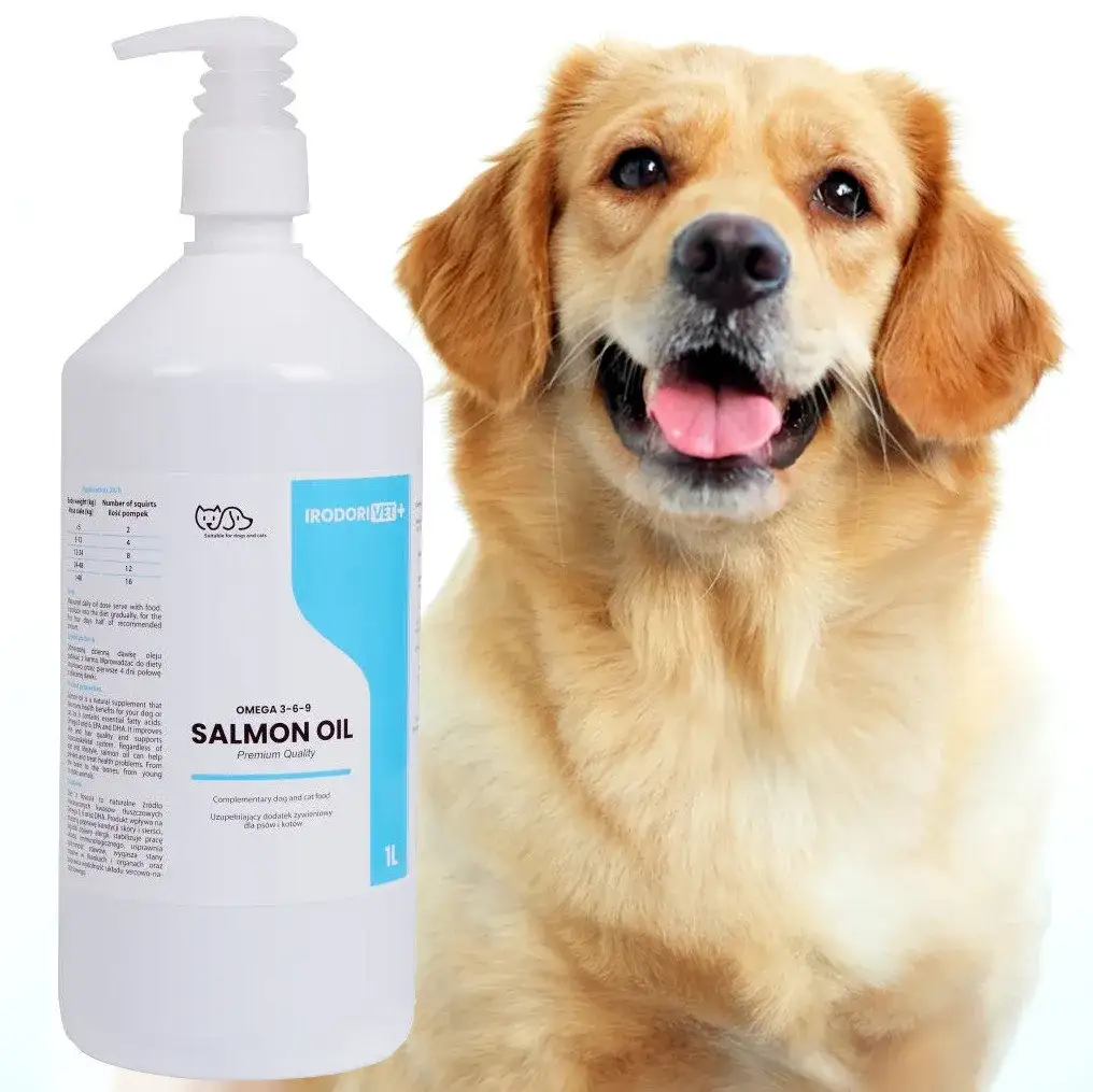 Najlepszy olej z łososia dla psa – jak wybrać i uniknąć błędów w dawkowaniu