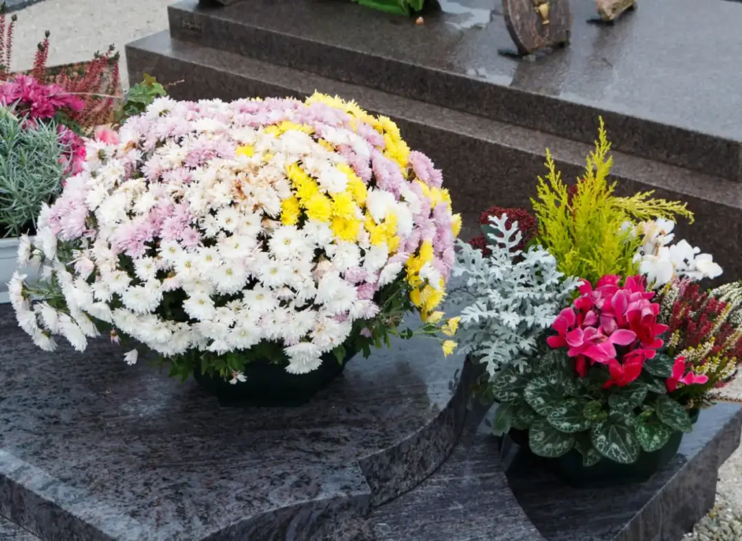 Jakie krzewy na cmentarz: piękne rośliny, które przetrwają lata