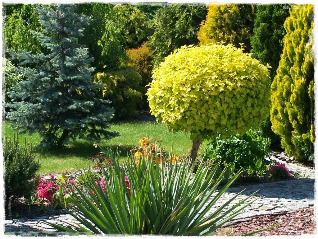 Jakie rośliny do ogrodu? Prosty przewodnik dla początkujących ogrodników