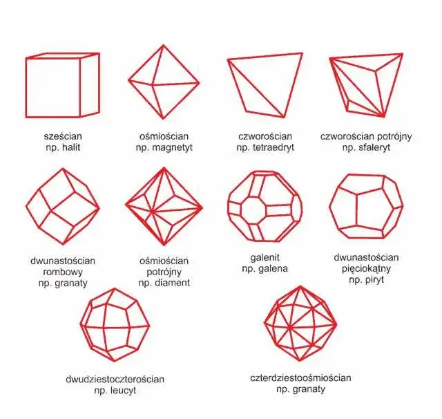 Reżyser cwału i struktury kryształu: Krzysztof Zanussi w polskim kinie