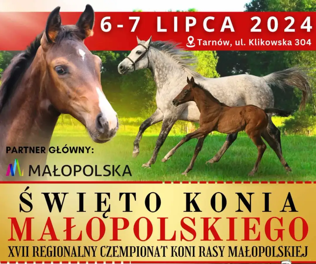 Klikowa stadnina - historia, rasy koni i unikalne doświadczenia