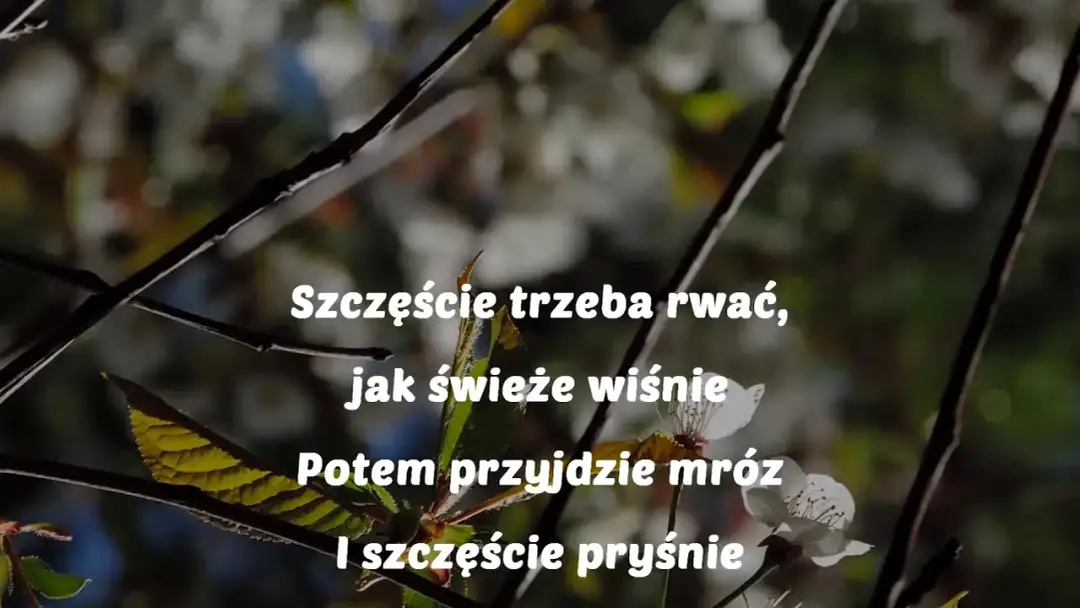 Szczęście trzeba rwać jak świeże wiśnie nuty - historia i nuty tanga