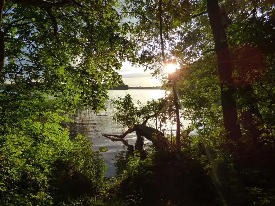 Dlaczego Pojezierze Mazurskie przyciąga turystów? Malownicze atrakcje i spokój