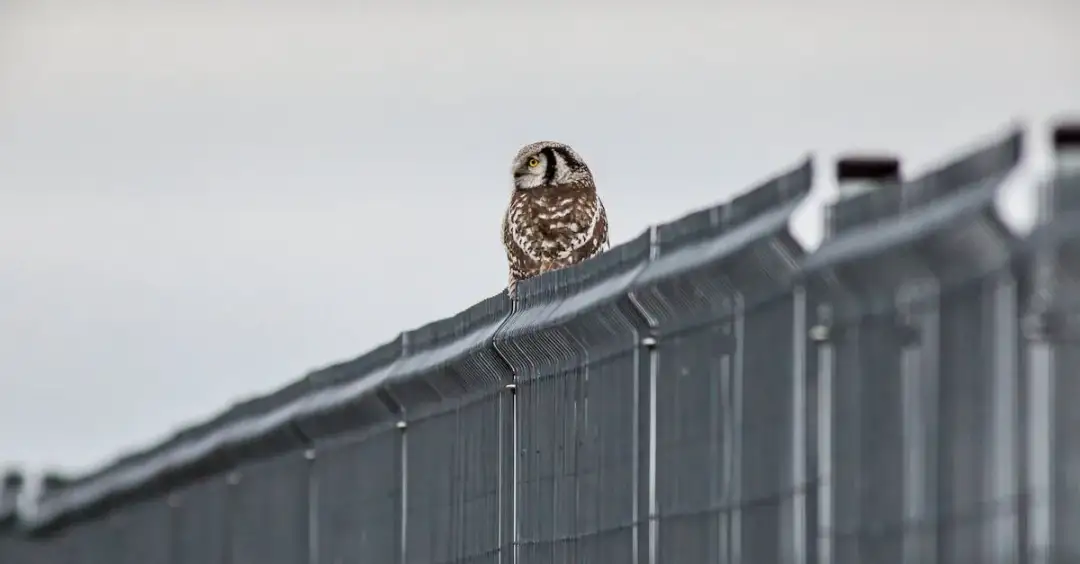 Ranking bajek ekologicznych - co warto pokazać dzieciom?