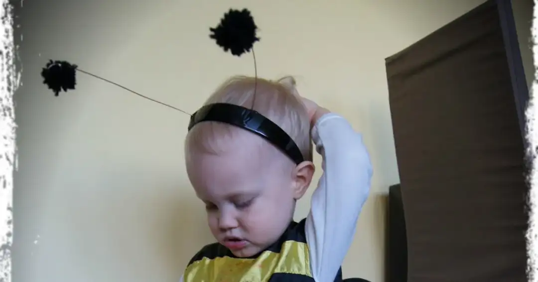 Jak zrobić strój pszczółki dla chłopca - proste i kreatywne pomysły