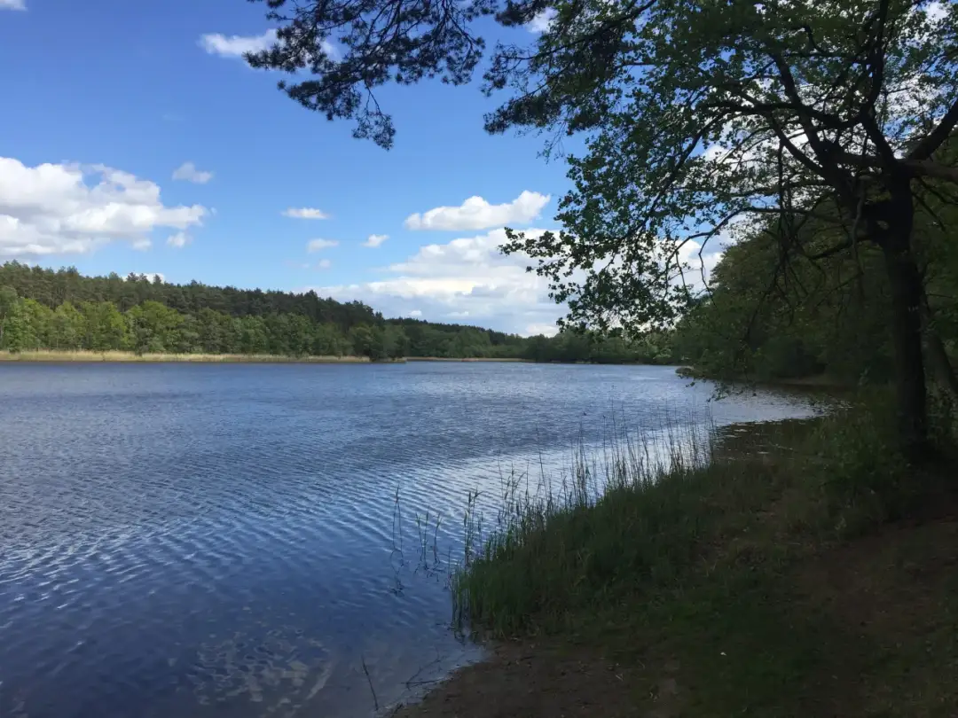 Zezwolenie na wędkowanie w jeziorze Tuczno - poznaj koszty i zasady