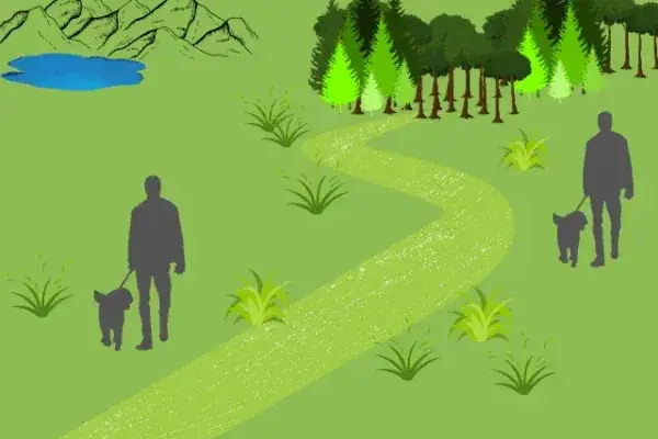 Jak prawidłowo wykonać spacer równoległy z psem - najważniejsze zasady