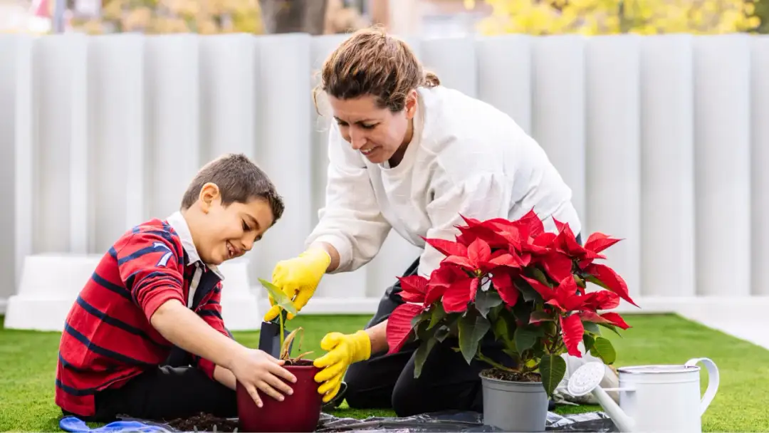 Jak zagospodarować działkę rekreacyjną, by uniknąć błędów i kosztów?
