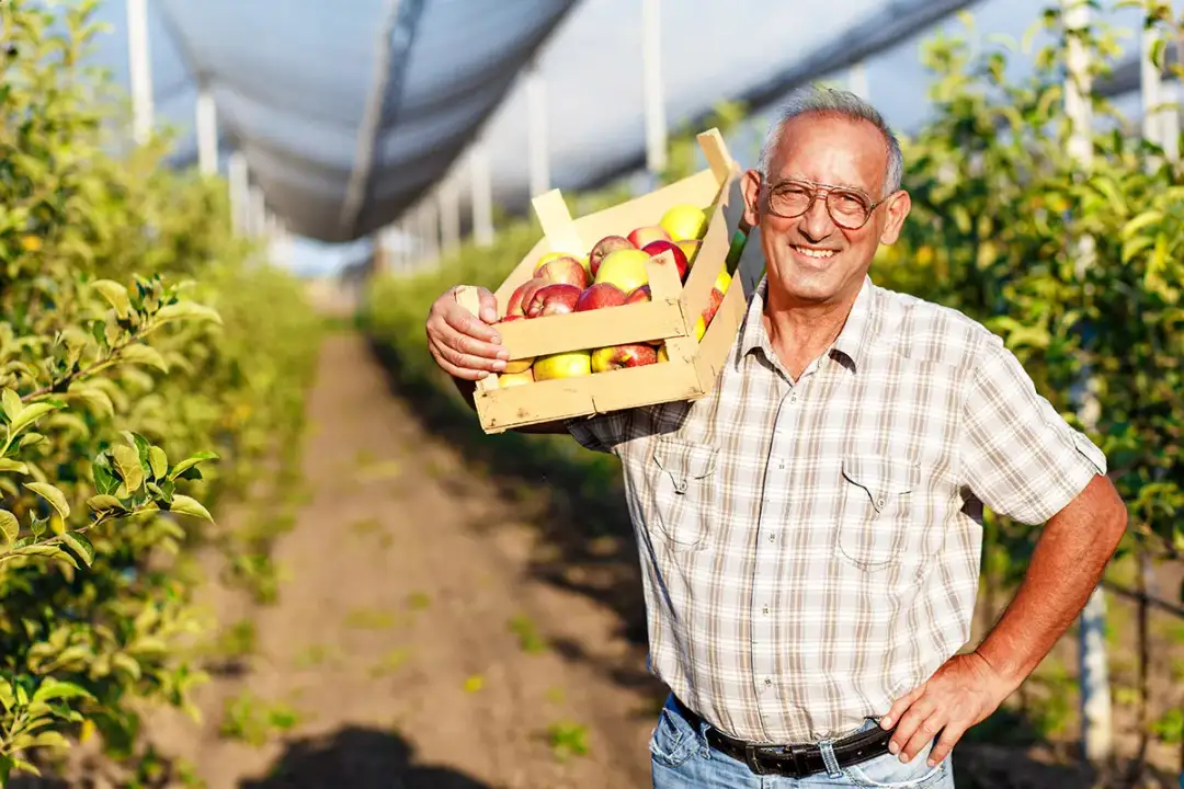 Kredyt na działalność rolniczą: jak sfinansować rozwój gospodarstwa