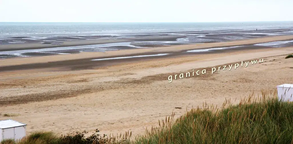 Aktualne godziny odpływu na Bałtyku: gdzie i kiedy warto iść na plażę