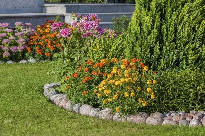 Jak zrobić klomb ogrodowy – krok po kroku do pięknego ogrodu