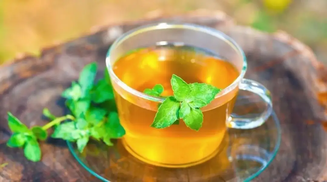 Jaką herbatę pić rano dla zdrowia i energii: 5 najlepszych rodzajów