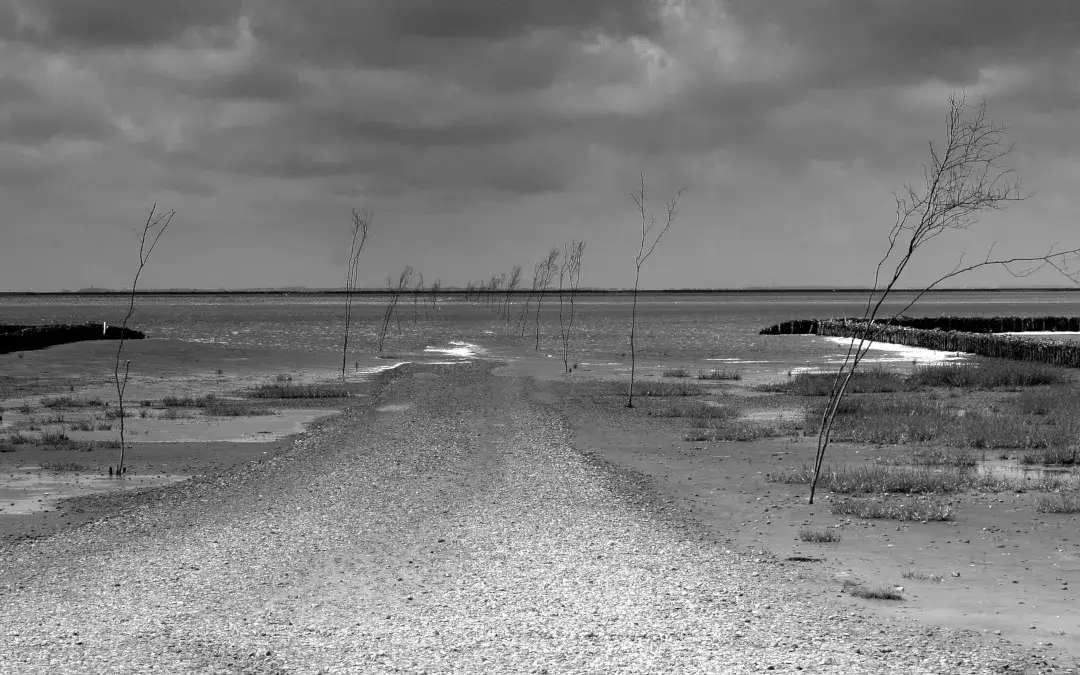 Lata pustki tabele: Dokładne daty dla Twojego roku urodzenia