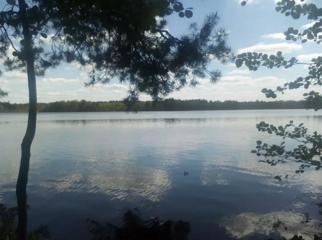 Jezioro Czarne Sosnowickie: najpopularniejsze kąpielisko na Lubelszczyźnie