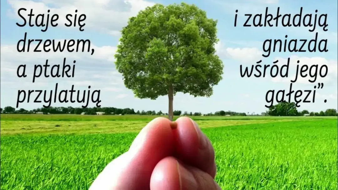 Przypowieść o gorczycy: Jak małe zaczyna rosnąć w wielkie?