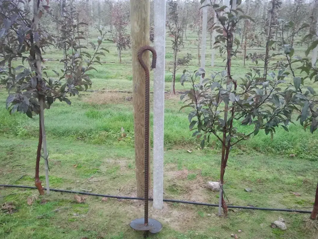 Jak wkręcić kotwę sadowniczą krok po kroku: praktyczny poradnik montażu