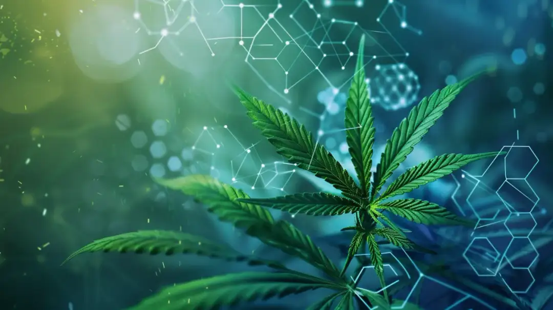 Active w produktach konopnych: Jakie korzyści dają? Fakty i mity