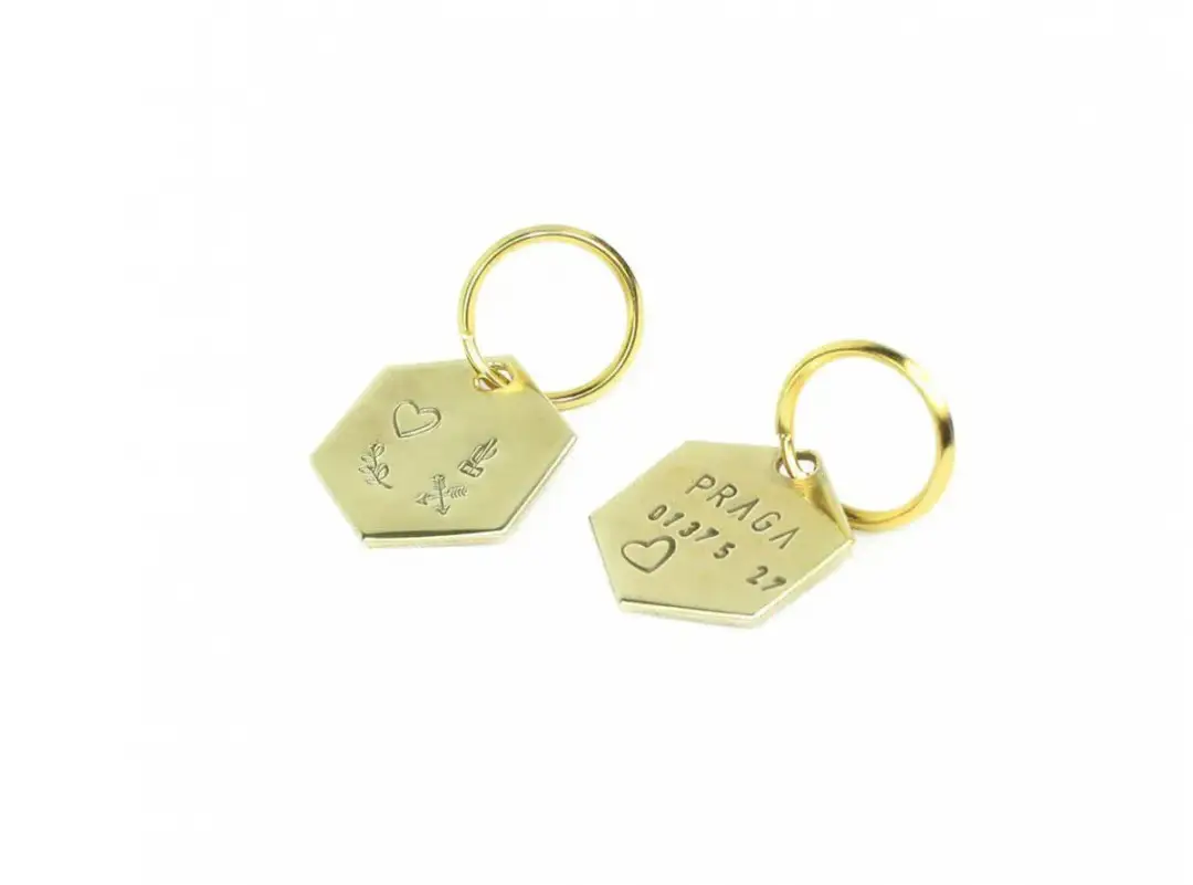 Adresówka dla psa: Jak wybrać najlepszą i zapewnić pupilowi bezpieczeństwo