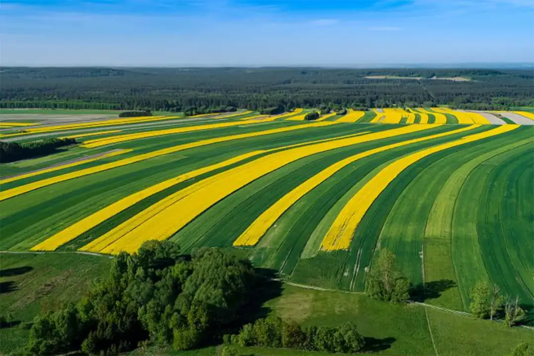 Forum Roztocze: Twoje źródło inspiracji i porad turystycznych