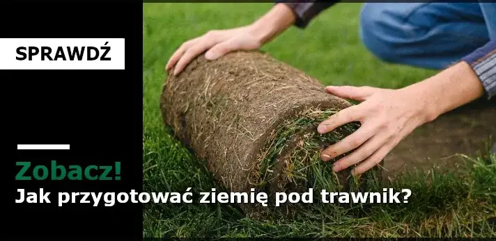 Jak przygotować ziemię pod trawnik, aby uniknąć błędów i cieszyć się pięknem trawy